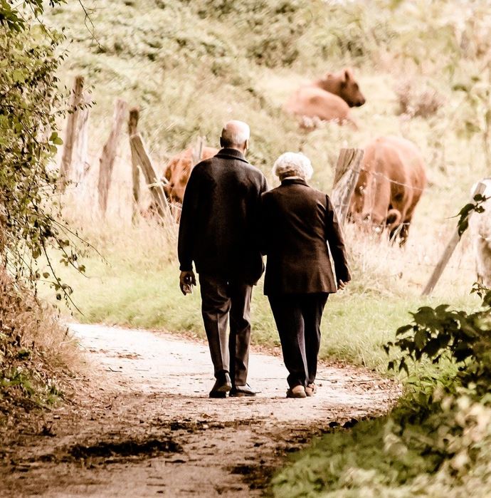 Couple personnes âgées se tenant la main et se promenant dans la campagne