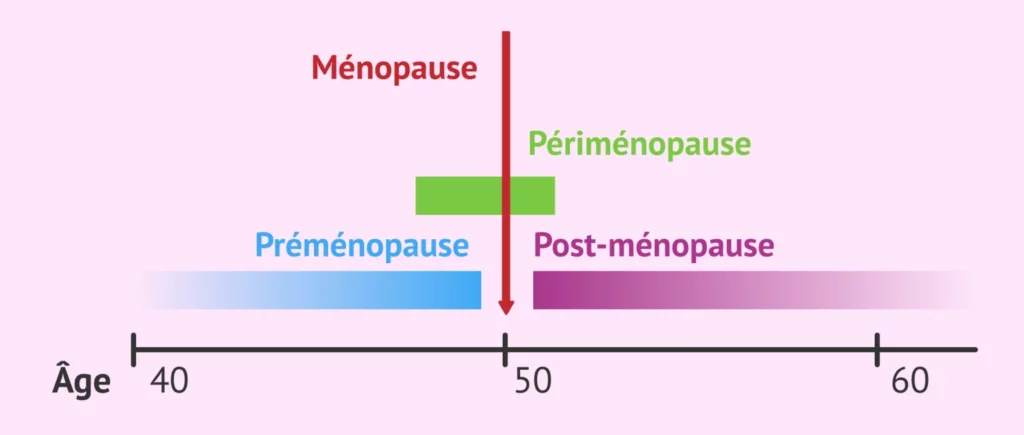 Schema Préménopause et périménopause